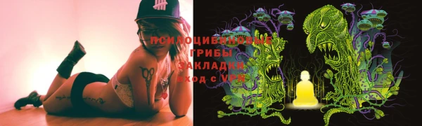 ГАЛЛЮЦИНОГЕННЫЕ ГРИБЫ Новодвинск